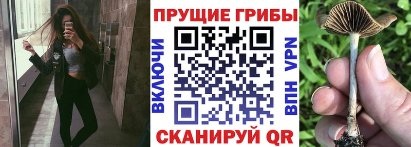 Галлюциногенные грибы Magic Shrooms Купить Коммунар